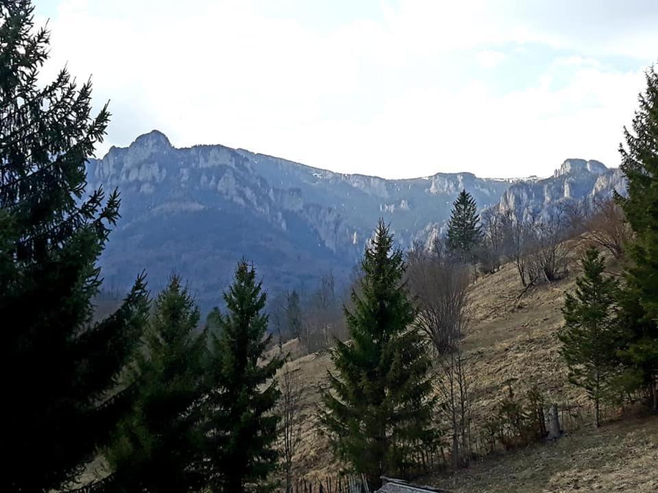 Отель Pensiunea Bobu Извору-Мунтелуй Экстерьер фото